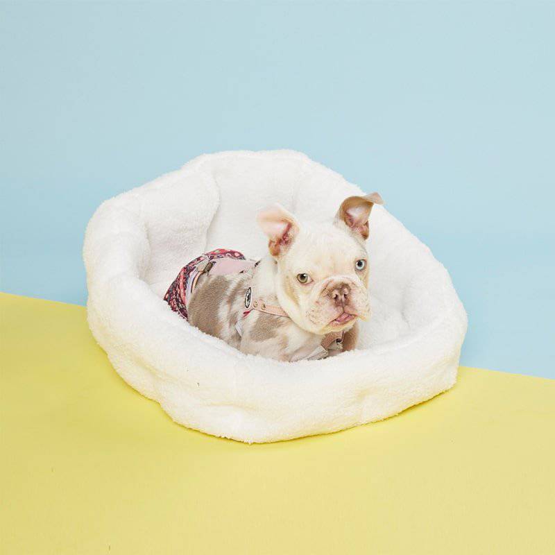PAWD Lounger Pet Crate luxury bed