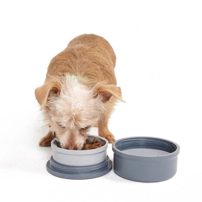 dog bowl with food